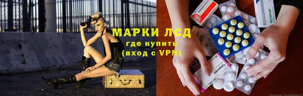 твердый Дмитровск