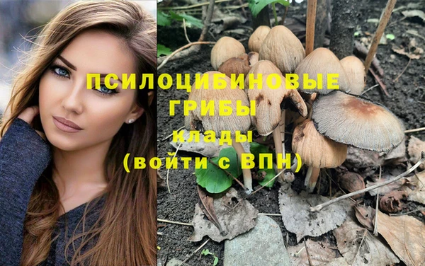 твердый Дмитровск