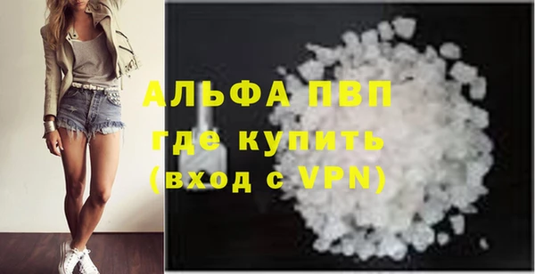 спиды Дмитриев