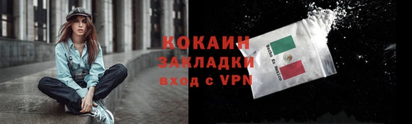 твердый Дмитровск