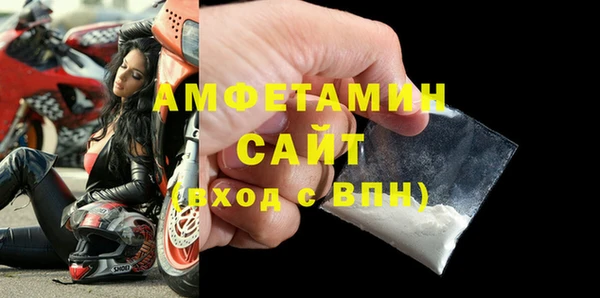 твердый Дмитровск
