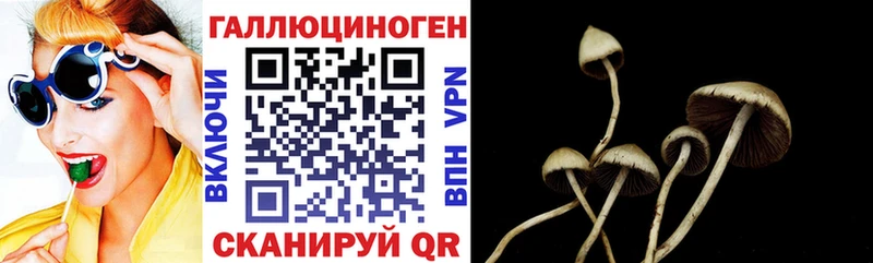 Псилоцибиновые грибы MAGIC MUSHROOMS  Медногорск 