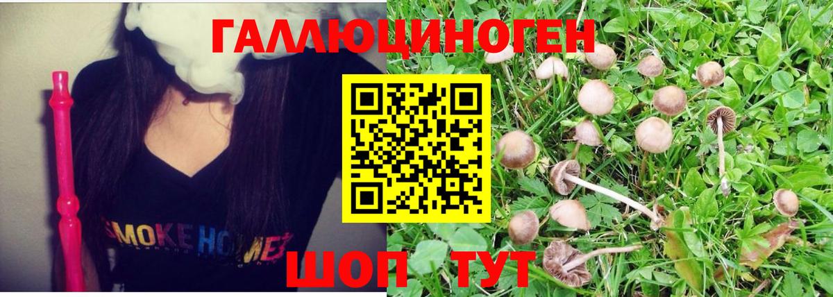 Псилоцибиновые грибы мицелий Медногорск