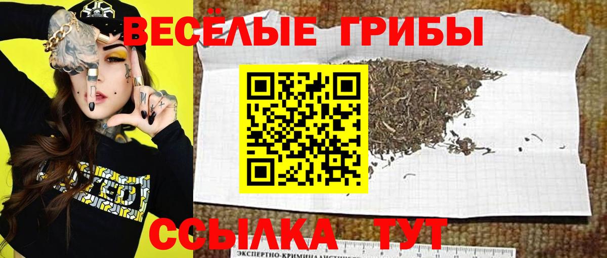 Галлюциногенные грибы мухоморы  купить  цена  Медногорск  Вход с VPN  Галлюциногенные грибы мухоморы 