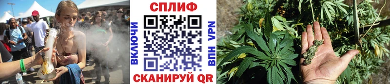 Конопля конопля Медногорск