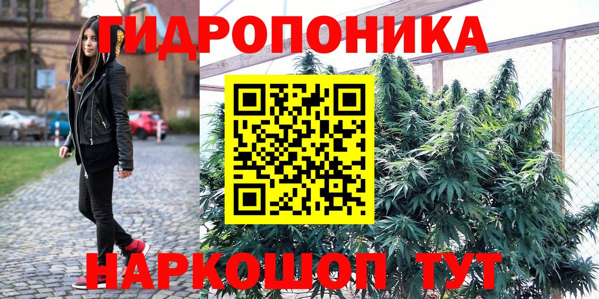 Бошки Шишки марихуана  Конопля тримм  Медногорск  Канабис гибрид 